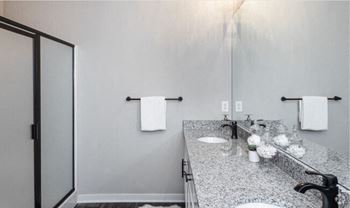 Master bathroom shower